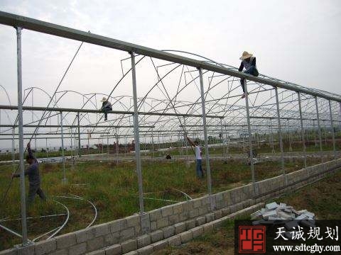 揭阳“家庭农场(专业大户)贷款”解决新型农业资金难题