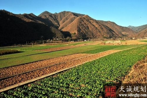 德州抓好农田水利基本建设加快补齐农业发展短板