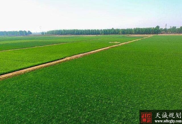 建成10亿亩高标准农田对保障粮食安全有怎样作用?
