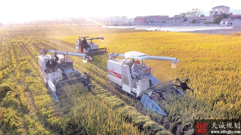 如何申请家庭农场?需要准备哪些资料?
