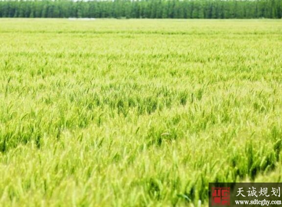 辽宁高标准农田建设实施面积达2360万余亩可增产100公斤