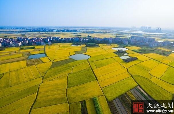 秀洲区专项行动盘活存量土地实现高效利用土地