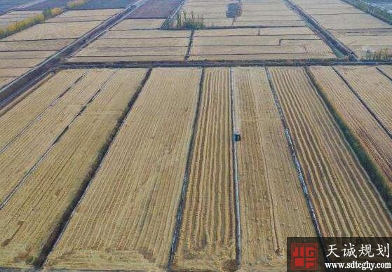 博湖县农土地流转带动了农业增效和农民增收