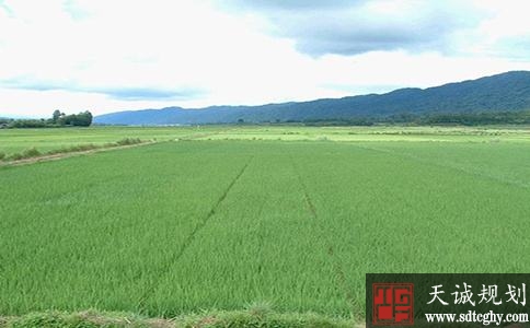 高标准基本农田成为促进农业增效、农民增收“助推器”