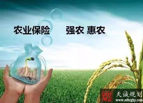 山东省财政落实保费补贴资金激活农业保险新动能