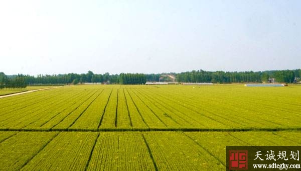 无锡启动永久基本农田储备区建设 拟划定2.07万亩储备区
