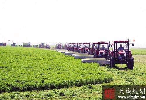 蚌埠连续21年实现耕地占补平衡 像保护熊猫一样保护耕地