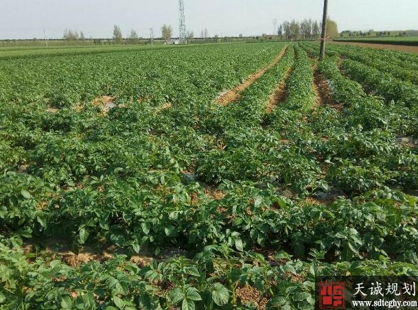 河南269个家庭农场被列入第三批省级示范家庭农场名单