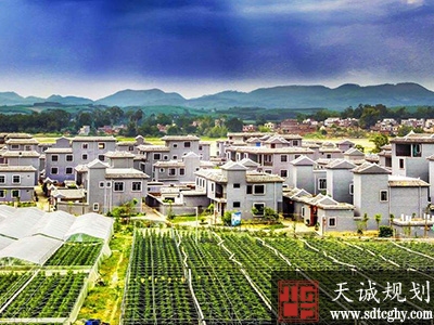 今年上海将完成28个乡村振兴示范村建设实现农村人居环境整治全覆盖