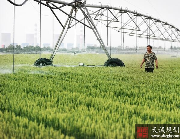 邹平金融部门支持土地流转新模式 带动农户年人均增收近600元