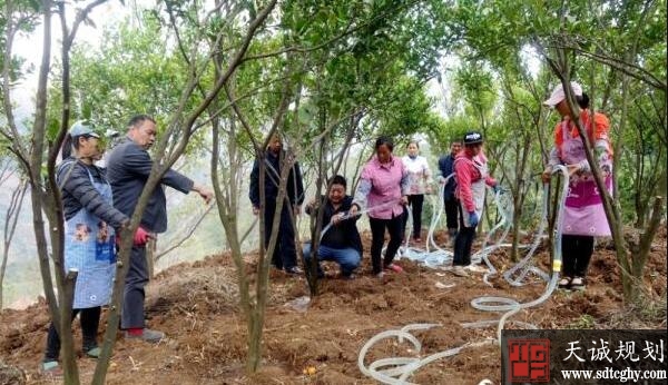 宣威创新土地管理模式 促进分散生产向集约化经营转变