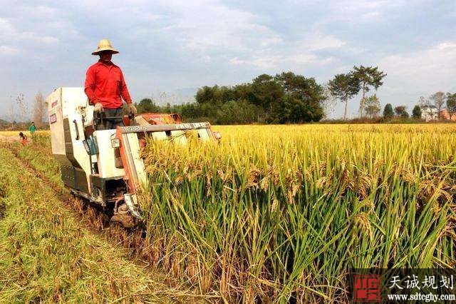 赣州印发《通知》弃耕抛荒超过两年承包地将暂停发放耕地补贴