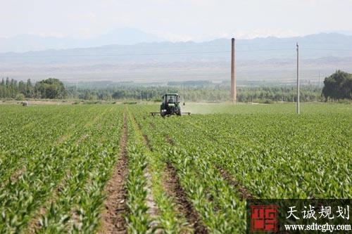 新疆将通过一至两年的时间完成300万亩高标准农田建设