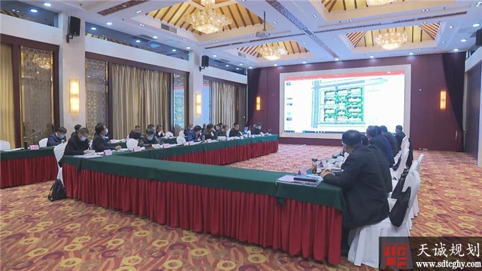 商河县召开2020年全县国土空间规划委员会第一次会议
