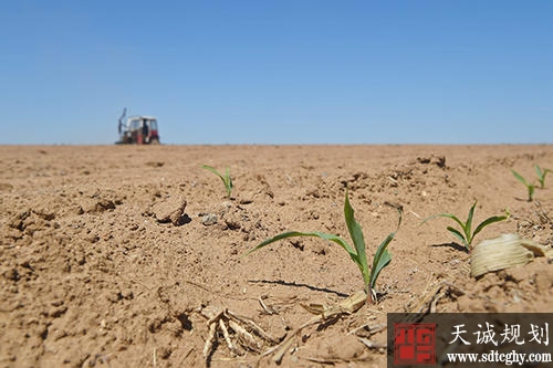辽宁省农民可在网络平台上交易农村土地承包经营权