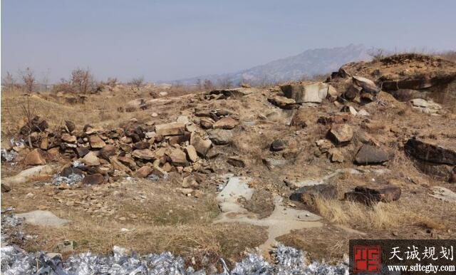 贫瘠山塂变耕地——烟台的“地球故事”