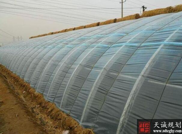天诚规划提醒:农村土地流转需要注意的“2补1禁止”