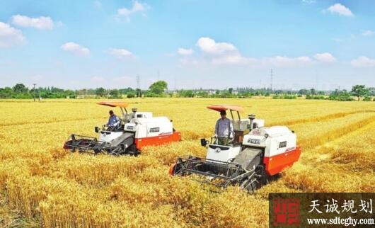 抓好家庭农场和合作社农业经营主体发展促农业现代化进程