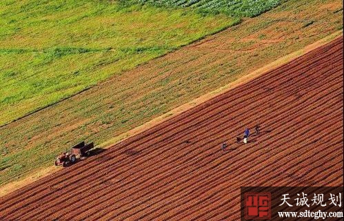 两会：解决农村耕地抛荒问题 优化土地资源配置－刘永好