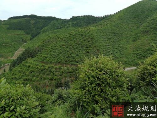 平邑县积极推进工程进度切实破解矿山复绿瓶颈