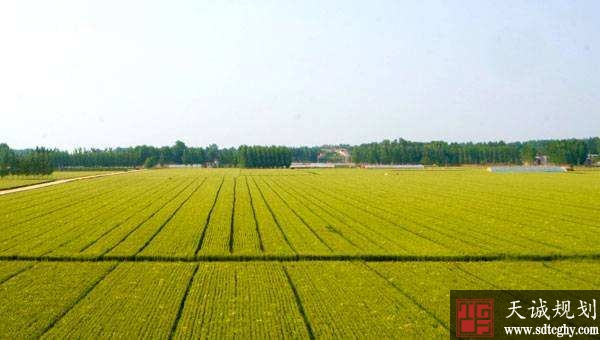 两会热点:高标准农田建设的补贴资金提高至每亩3000元