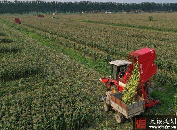 唐山农土地流转面积达199.03万亩推动农业现代化发展