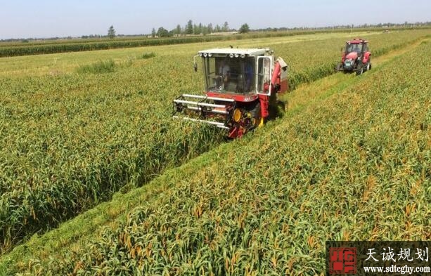 河北对耕地保护督察整改进度较慢的四地进行约谈