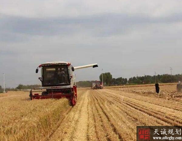 家庭农场成为莱州农业经济生力军 带动农民脱贫致富