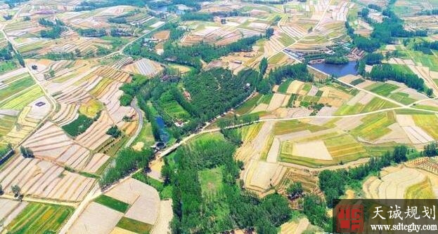 莒南县大力实施土地综合整治促进农民丰产丰收