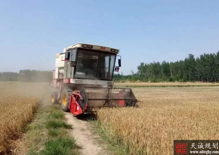 莒县走出了一条“高标准农田+土地整治”致富新路