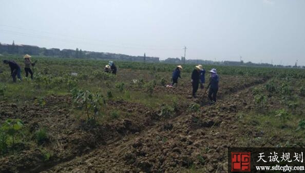湘阴县积极动员村民群众进行土地流转走上致富路