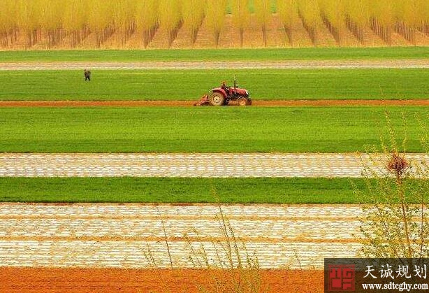 山东2025年将力争建成8000万亩高标准农田