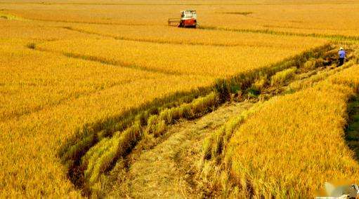 江西省高标准农田建设进度和质量均走在全国前列