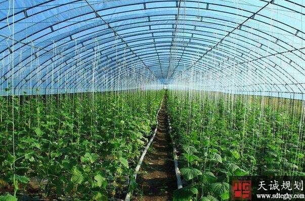 山西省到2022年实现家庭农场发展质量显著提升
