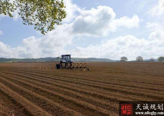 漳州市集中整治耕地“非农化”问题严格耕地保护  