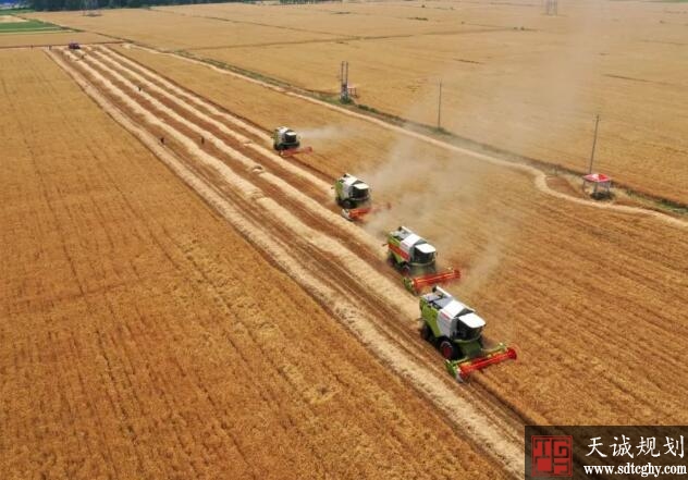 给力河南-建成6320万亩高标准农田增产189亿斤粮食