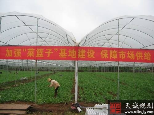 郑州五年将建成120万亩高标准农田保障市民“菜篮子”