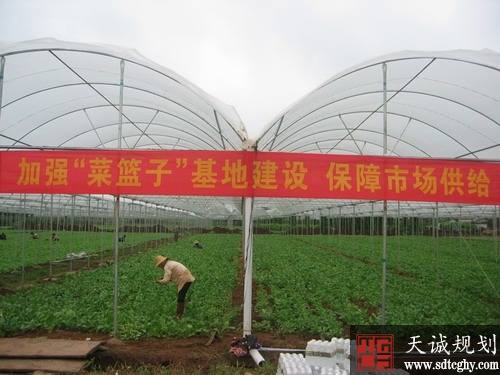郑州五年将建成120万亩高标准农田保障市民“菜篮子”
