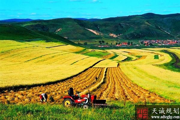 甘肃2020年底建成1520万亩高标准农田确保粮食生产安全