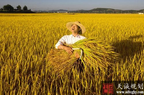 最高人民法院出台《意见》严格保护农民土地权益