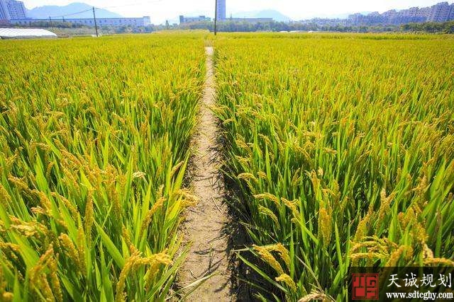 海南:明确设施农业允许使用少量永久基本农田