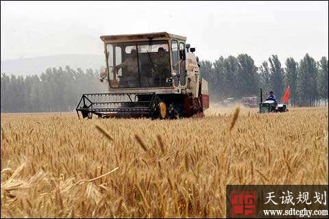 山东159.37亿元支持巩固和提升粮食生产能力
