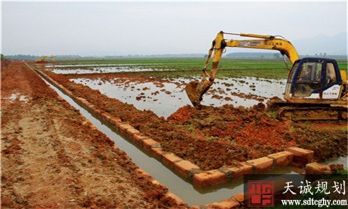 广西印发《意见》布局未来5年全域土地综合整治工作