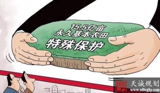 针对农村乱占耕地建房问题各地亮剑!