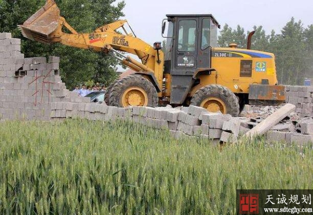 摸清全国农村乱占耕地建房底数 保障农民合理建房需求