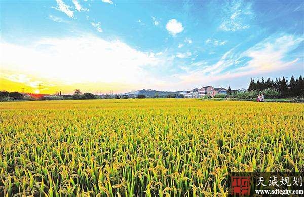 安庆市耕地保有量稳中有升推进“藏粮于地”