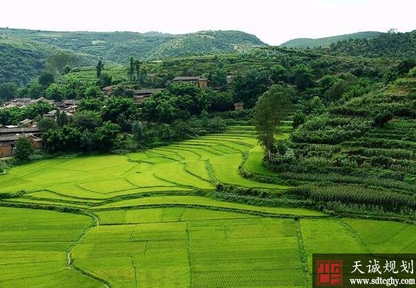 让承担耕地保护任务的集体和个人分享社会经济发展成果