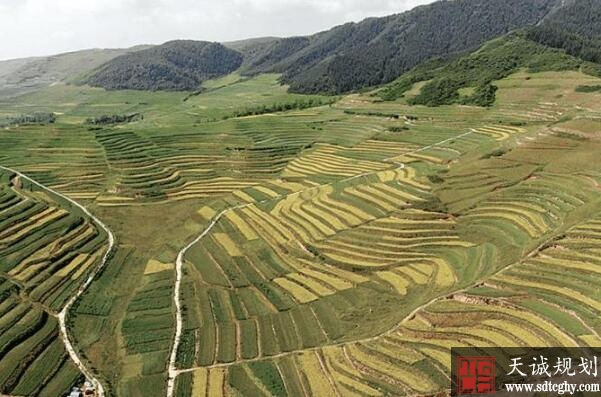 解决土地纠纷和项目“落地难”问题 促经济发展