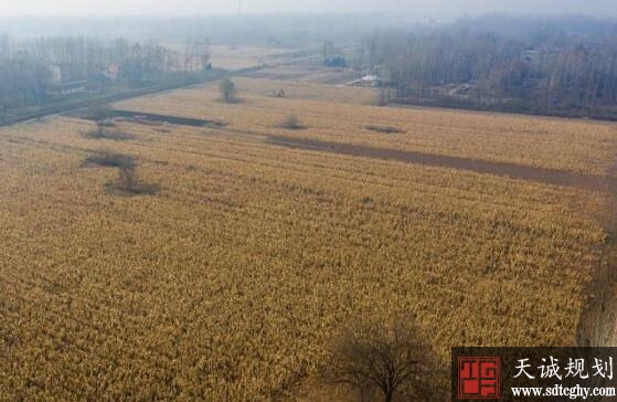 农土地流转为农民增收同时解了种地忧愁