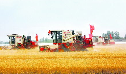 山东土地流转率达新高　夏粮再获大丰收